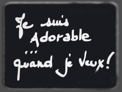 je suis adorable QUAND JE VEUX lol